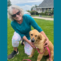 True Love Rescue – a Golden Retriever Rescue – Walnut Creek, California