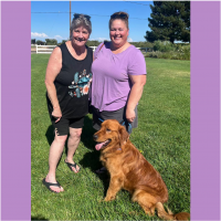 True Love Rescue – a Golden Retriever Rescue – Livermore, California