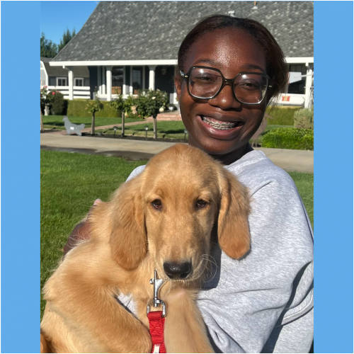 True Love Rescue – a Golden Retriever Rescue – Vandenburg AFB, California