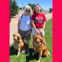 True Love Rescue – a Golden Retriever Rescue – Mountain View, California