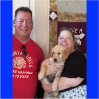 True Love Rescue – a Golden Retriever Rescue – Hayward, California