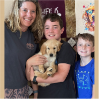 True Love Rescue – a Golden Retriever Rescue – Concord, California