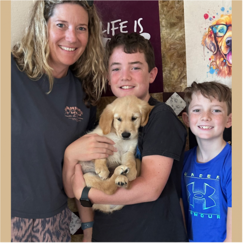 True Love Rescue – a Golden Retriever Rescue – Concord, California