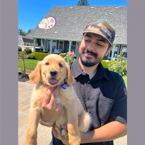 True Love Rescue – a Golden Retriever Rescue – Pomona, California