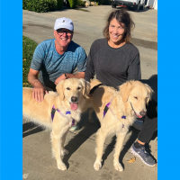 True Love Rescue – a Golden Retriever Rescue – Davis, CA