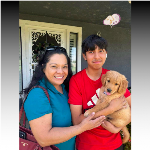 True Love Rescue – a Golden Retriever Rescue – Modesto, California