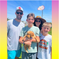 True Love Rescue – a Golden Retriever Rescue – Lafayette, California