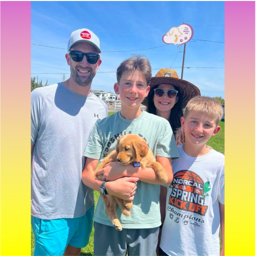 True Love Rescue – a Golden Retriever Rescue – Lafayette, California