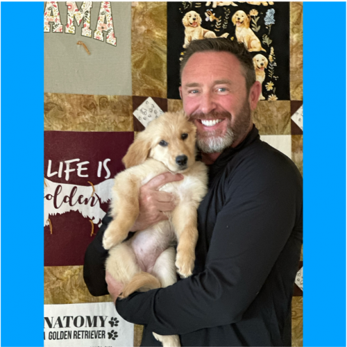 True Love Rescue – a Golden Retriever Rescue – Lincoln, CA