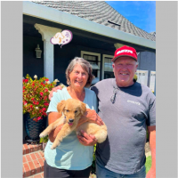 True Love Rescue – a Golden Retriever Rescue – Paso Robles, California