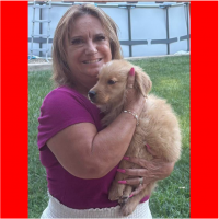 True Love Rescue – a Golden Retriever Rescue – Sonora, California