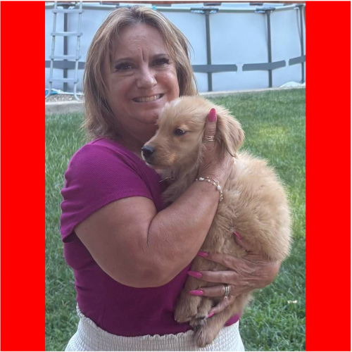 True Love Rescue – a Golden Retriever Rescue – Sonora, California