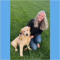 True Love Rescue – a Golden Retriever Rescue – Durango, Colorado
