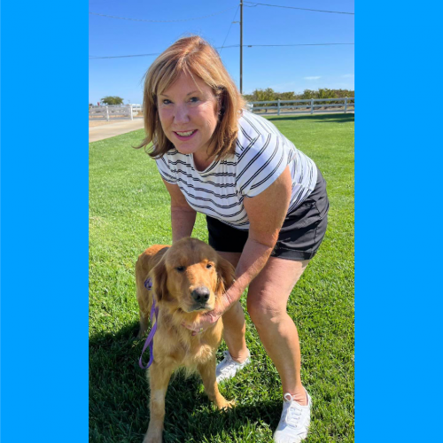 True Love Rescue – a Golden Retriever Rescue – Citrus Heights, California