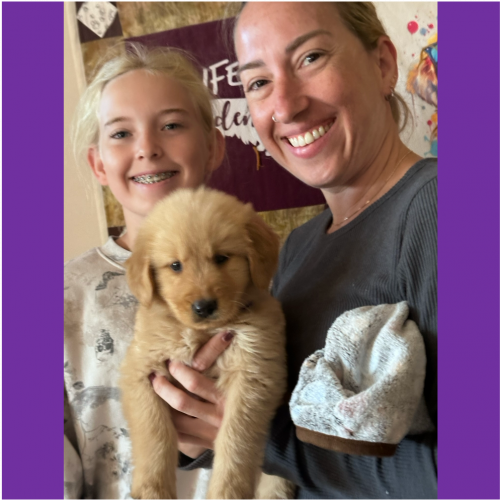 True Love Rescue – a Golden Retriever Rescue – Oakley, California