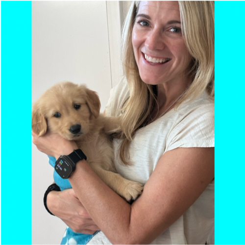 True Love Rescue – a Golden Retriever Rescue – Costa Mesa, California
