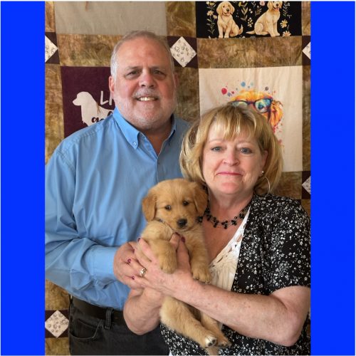 True Love Rescue – a Golden Retriever Rescue – Concord, California