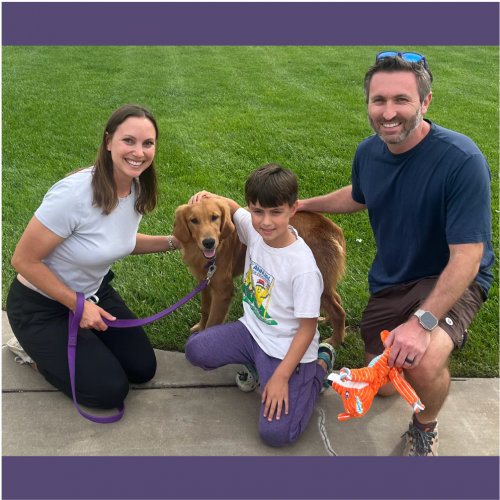 True Love Rescue – a Golden Retriever Rescue – Danville, California