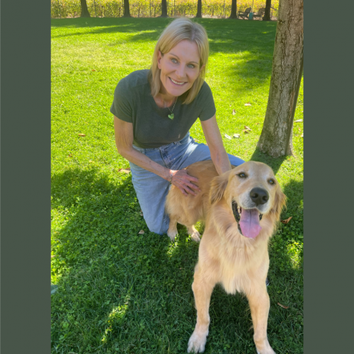True Love Rescue – a Golden Retriever Rescue – Thornton, California