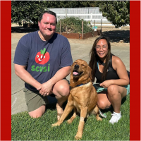 True Love Rescue – a Golden Retriever Rescue – Paso Robles, California