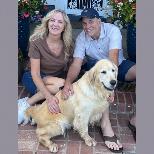 True Love Rescue – a Golden Retriever Rescue – Visalia,, California