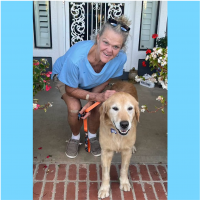 True Love Rescue – a Golden Retriever Rescue – Visalia, California