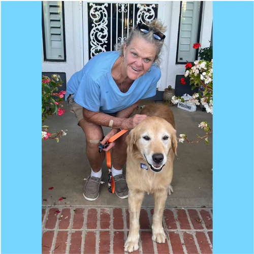 True Love Rescue – a Golden Retriever Rescue – Visalia, California
