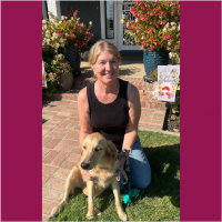 True Love Rescue – a Golden Retriever Rescue – Cotati, California