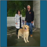 True Love Rescue – a Golden Retriever Rescue – Brentwood, California