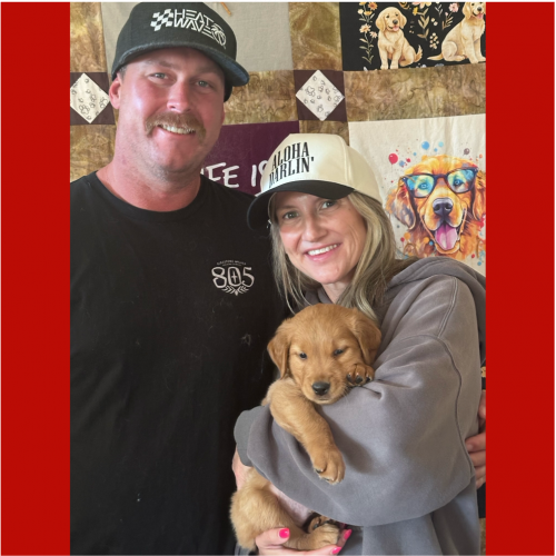 True Love Rescue – a Golden Retriever Rescue – Morgan Hill, California