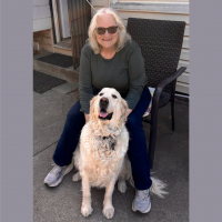 True Love Rescue – a Golden Retriever Rescue – Richmond, California