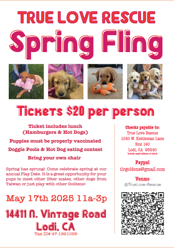 Spring Fling 2025 event page